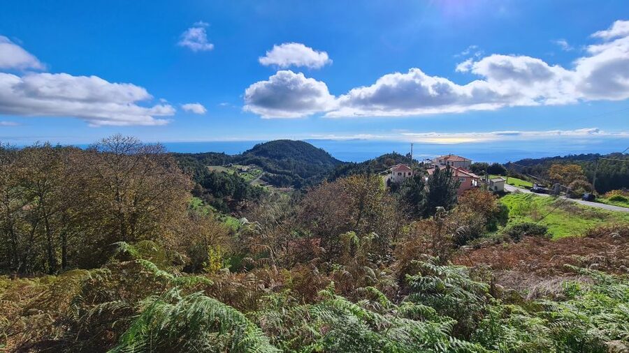 Camacha: Levada Trail e-Bike Guided Tour - From Camacha fields to the levada