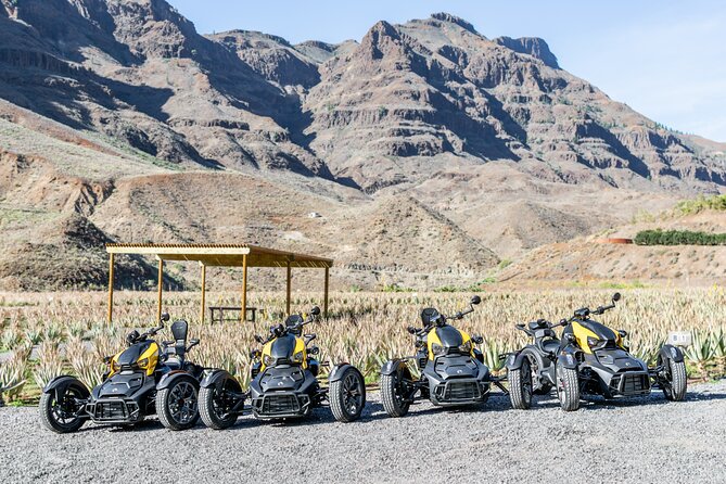 Can-am Ryker three wheels tricycle Mountain Tour (Maspalomas) - Who will enjoy this tour most