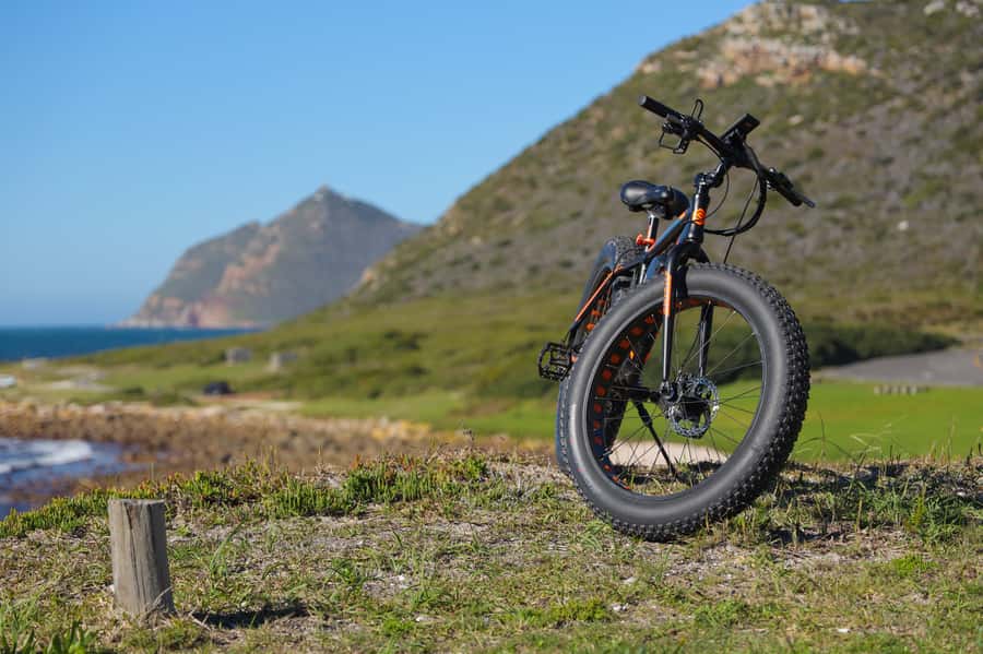 Cape Town: E-Bike Cape Peninsula Tour - Who should book this e-bike tour