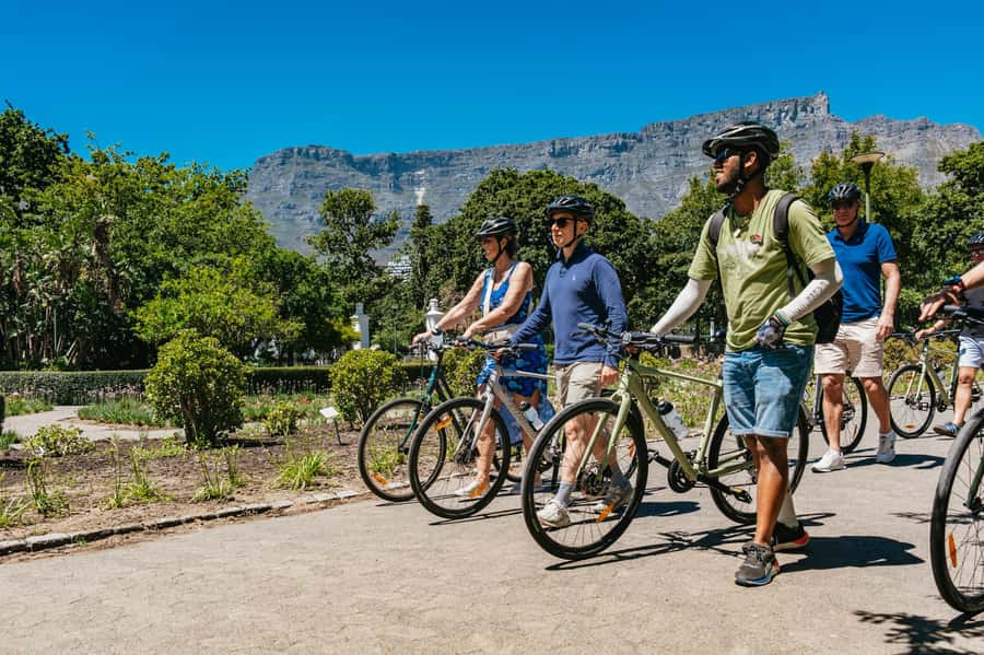 Cape Town: Guided Bike Tour - Who Should Book This Ride?
