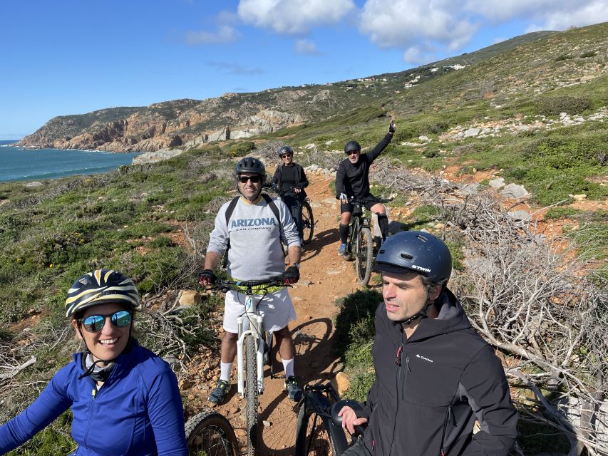 Cascais-Sintra E-bike Tour: Coast & Countryside Adventure - Why this route works so well