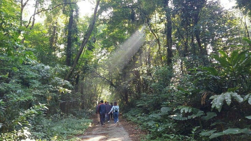 Cat Ba: National Park Day Trip with Cycling and Kayaking - Who will get the most from this tour?