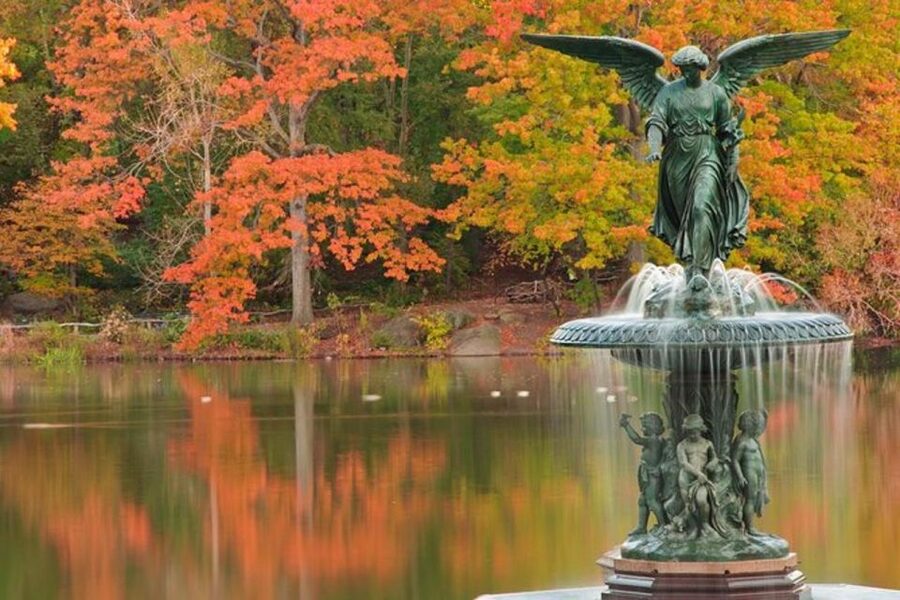 Central Park Bike Rental - Who should book this rental