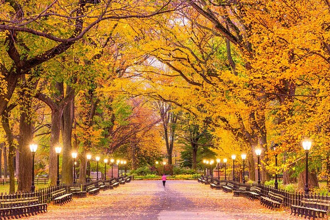 Central Park NYC Highlights Small-Group Bike Tour - Key points at a glance