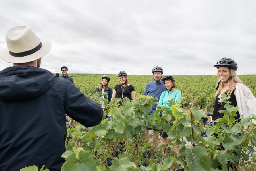 Champagne: E-Bike Champagne Day Tour with Tastings and Lunch - Should you book the Champagne e-bike day?