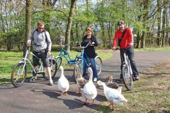 Cheese, Canals & Windmill Countryside E-Bike Tour Amsterdam - Nieuwendammerdijk and the old captains’ houses
