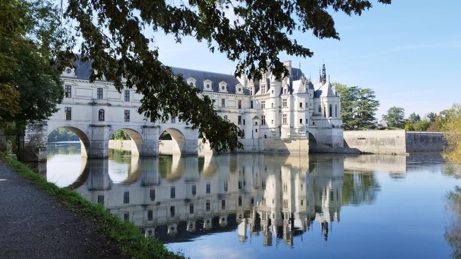 Chenonceau: E-Bike Guided Tour & Gourmet Picnic Lunch - Who should book this Chenonceau e-bike tour?