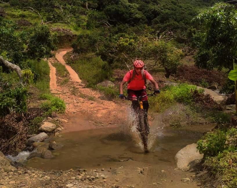 Chiang Mai: 20km Downhill Mountain Biking Challenge Suthep M - The ride from 1,550 meters to the Mae Ping Valley