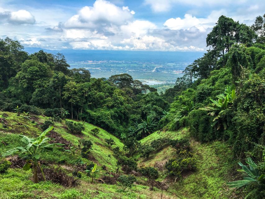 Chiang Mai: 20km Downhill Mountain Biking Challenge Suthep M - The two-hour descent through the traditional village