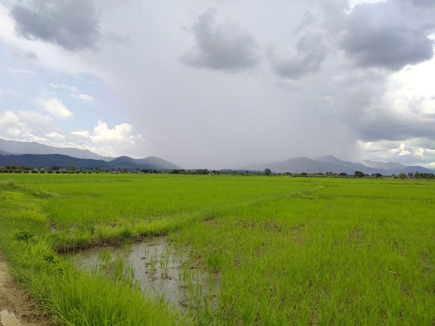 Chiang Mai: 25km Leisure Mountain Biking & Jungle Kayaking - What the $65 price really covers