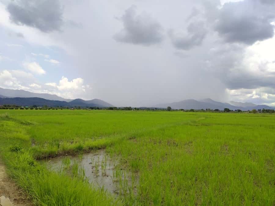 Chiang Mai: 25km Leisure Mountain Biking & Jungle Kayaking - Who will enjoy this day most
