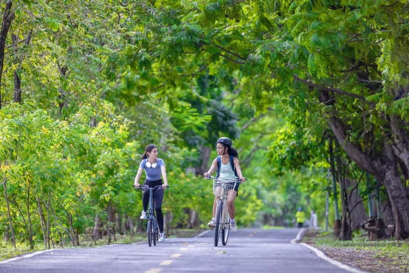 Chiang Mai Bicycle: Into The Lanna Countryside Guided Tour - What the $53 price really covers