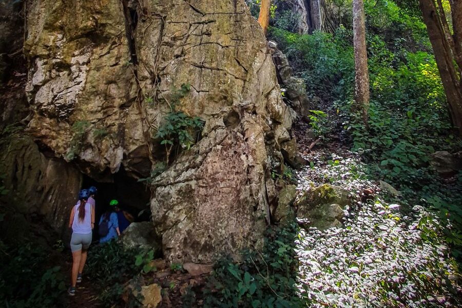 Chiang Mai: Boat Ride and Cycling Tour to Sticky Waterfall - Pedaling through teak forest