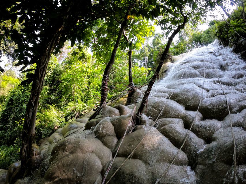 Chiang Mai: Boat Ride and Cycling Tour to Sticky Waterfall - Guides, organization, and pace