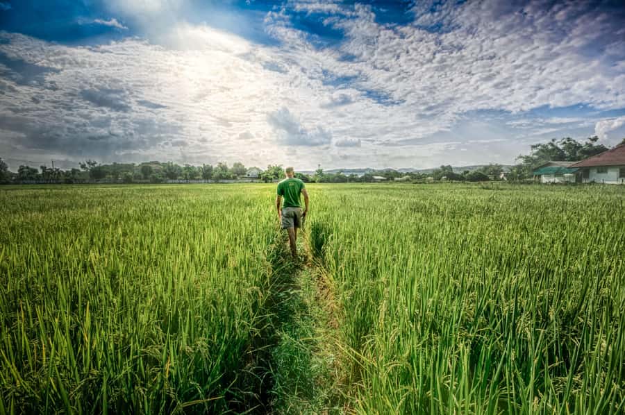 Chiang Mai: Countryside Adventure by Bike - How hard is the cycling?