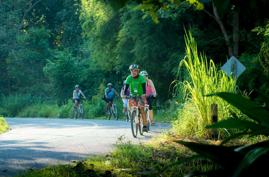 Chiang Mai Countryside E-bike Ride with Expert Guide & Lunch - Forest lanes near Doi Suthep