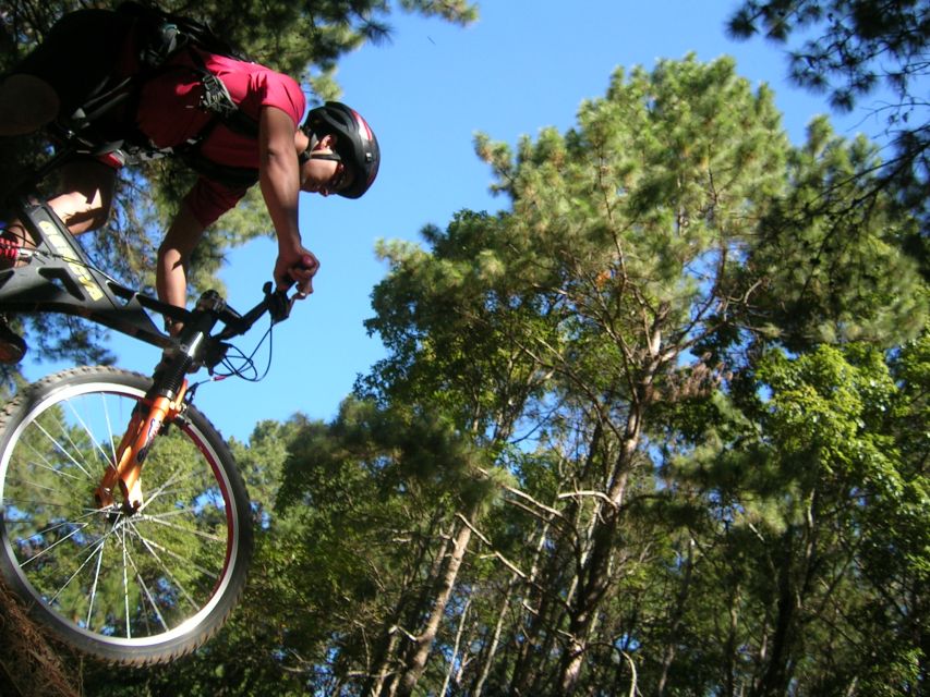 Chiang Mai: Doi Suthep National Park Leisure Hiking & Biking - The guides and small-group feel