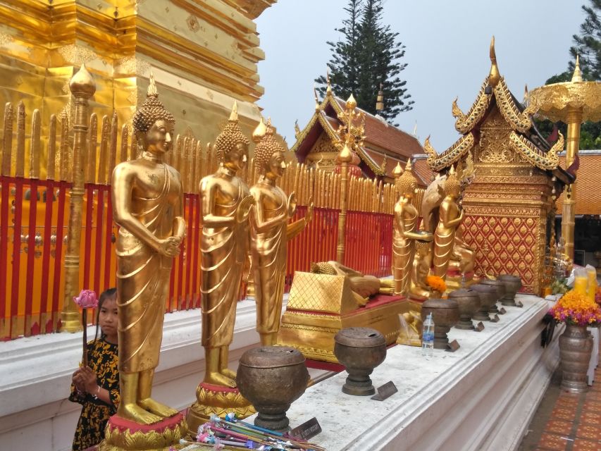 Chiang Mai: Doi Suthep National Park Leisure Hiking & Biking - The ride downhill: fun, but not a quiet trail