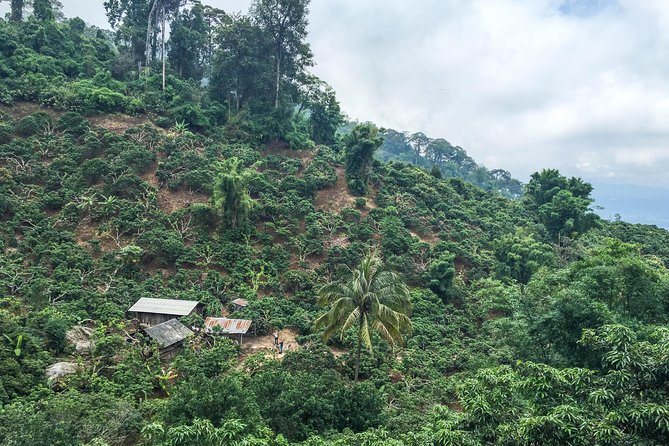 Chiang mai Hike & Downhill Bike Adventure –Suthep National Park - Who should book this tour
