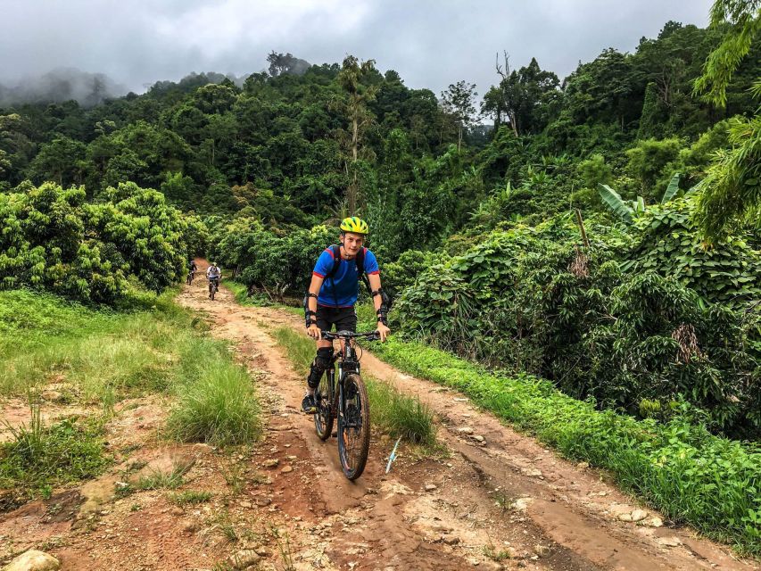 Chiang Mai: Suthep National Park Hiking & DH Mountain Biking - A hard-working day above Chiang Mai
