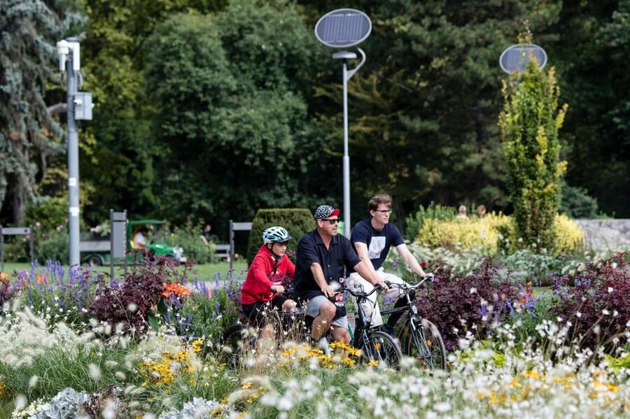 Choose a bicycle and make your own tour in Budapest-24 hrs - Bike condition and safety checks