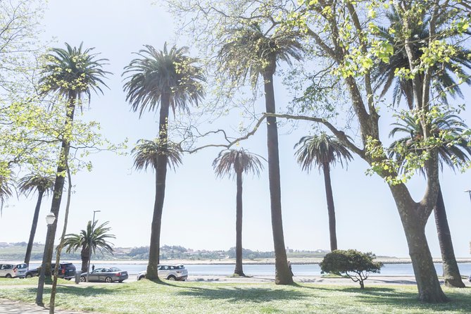 City Bike Rental in Porto - Choosing a route beside the Douro