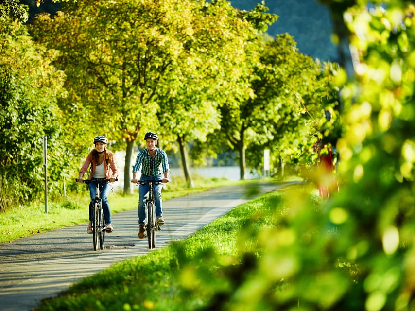 Cochem: Bike and Boat Tour with Picnic and Wine Tasting - What the $116 price really covers