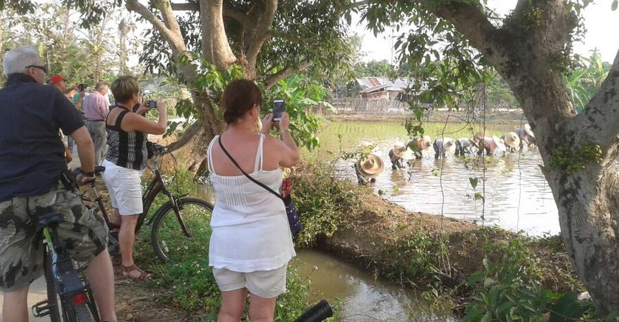 Colors of Chiang Mai Guided Bicycle Tour - Key points to know before you book
