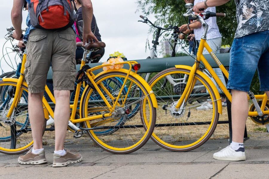 Copenhagen: 3 Hours Private Bike Tour with a local Guide - Rådhuspladsen and the city center