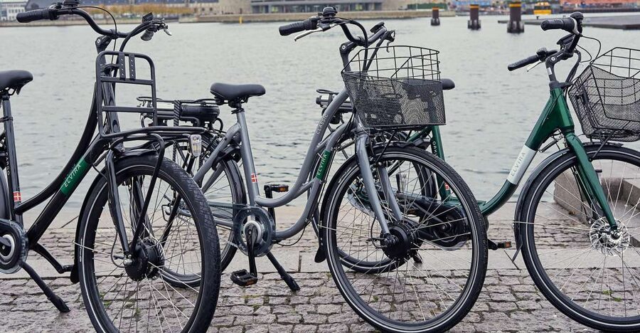 Copenhagen E-Bike Rental - Who should book this Copenhagen ride?