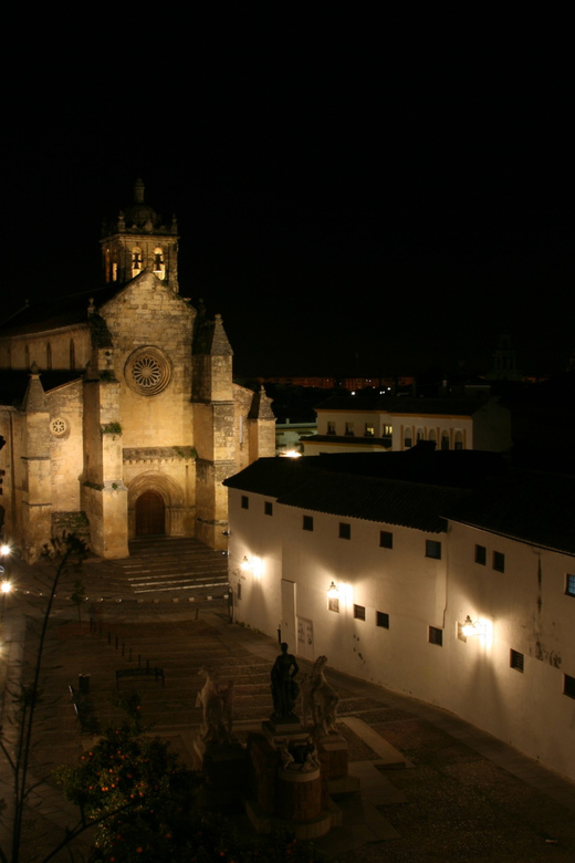 Cordoba at Night by Bike, Electric Bike - Key points at a glance