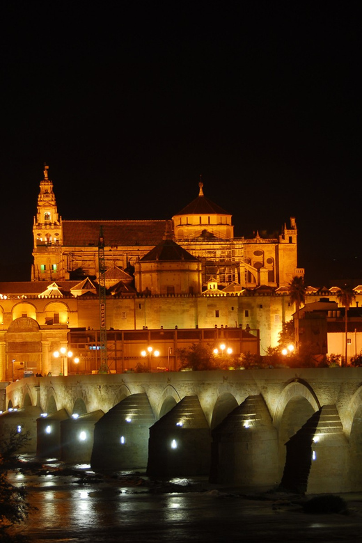 Cordoba at Night by Bike, Electric Bike - Rolling through the old streets