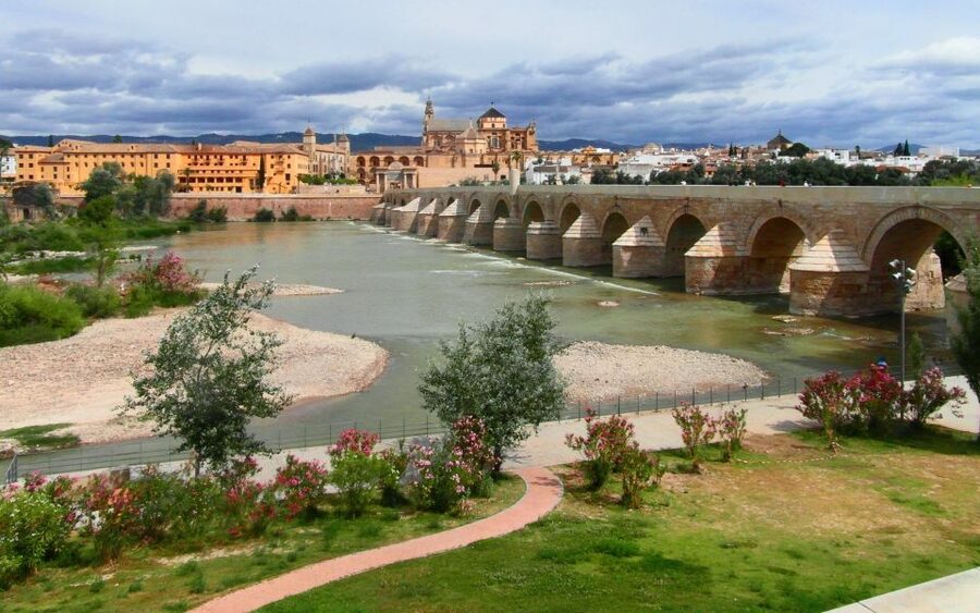 Cordoba: Bike Tour (E-Bike Available) - Moving through modern Córdoba