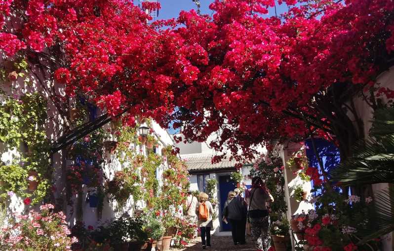 Cordoba Courtyards by Bike, Electric Bike - Key points to know before booking
