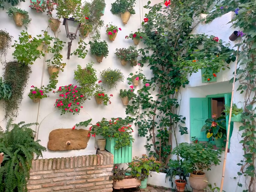 Cordoba Courtyards by Bike, Electric Bike - Why Cordoba’s patios are worth seeing by bike