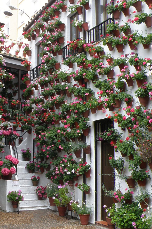 Cordoba Courtyards by Bike, Electric Bike - Riding through Cordoba’s streets and parks