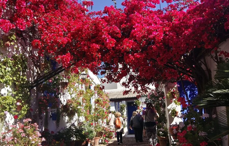 Cordoba Courtyards by Bike, Electric Bike - What guides Jorge and Miguel add to the experience