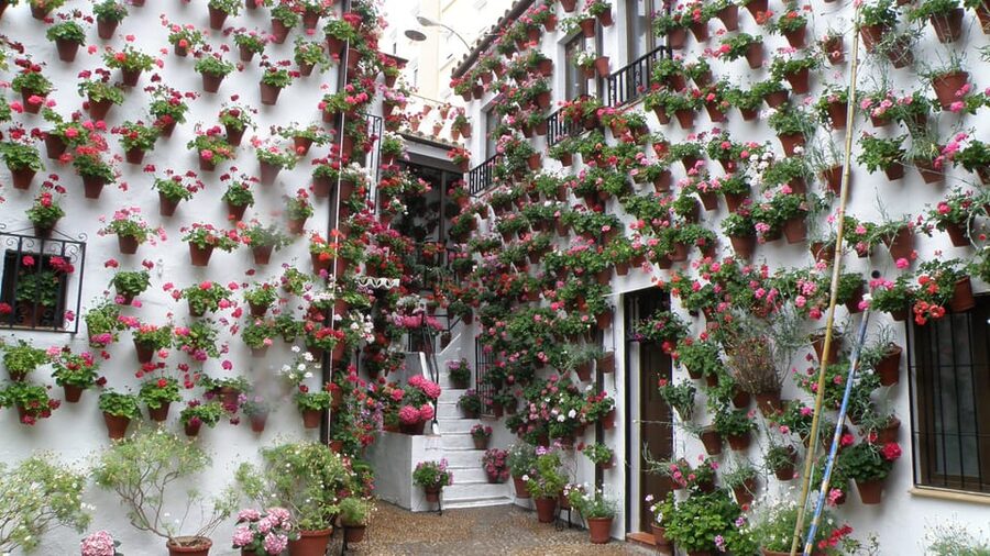 Cordoba Courtyards by Bike, Electric Bike - Booking flexibility and languages