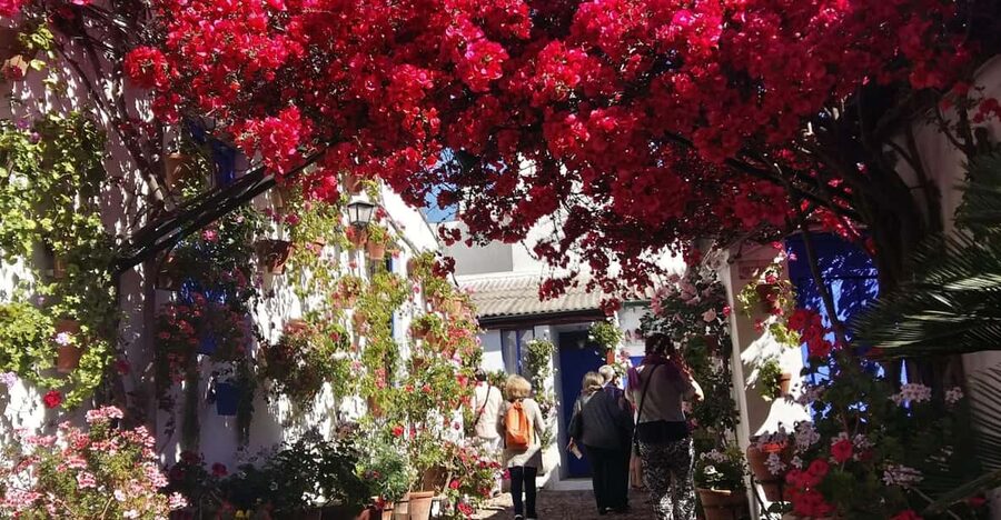 Cordoba Courtyards by Bike, Electric Bike - Starting at Elektrik Bikes on Calle Maria Cristina