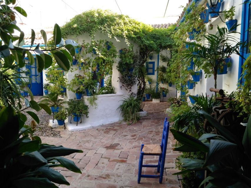 Córdoba Daily Highlights Bike Tour - The Mezquita and the lanes of the Jewish Quarter