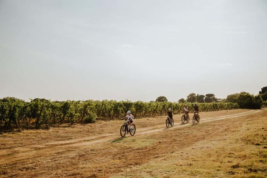 Cortona: Val di Chiana E-Bike Tour with Optional Wine Lunch - What the E-Bike Can and Cannot Do