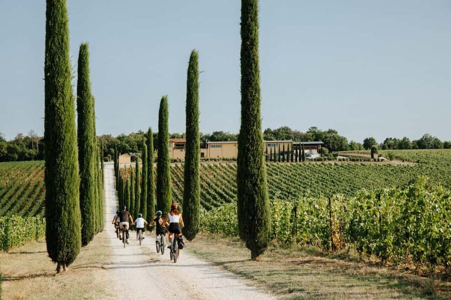 Cortona: Val di Chiana E-Bike Tour with Optional Wine Lunch - How Much Value You Get for $186