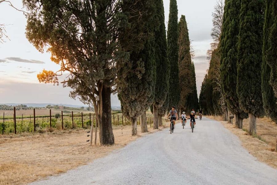 Cortona: Val di Chiana E-Bike Tour with Optional Wine Lunch - Practical Preparation for the Five Hours