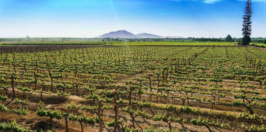 Costa Calma: Coast2Coast E-Bike Adventure - Golden dunes and volcanic ground on the return