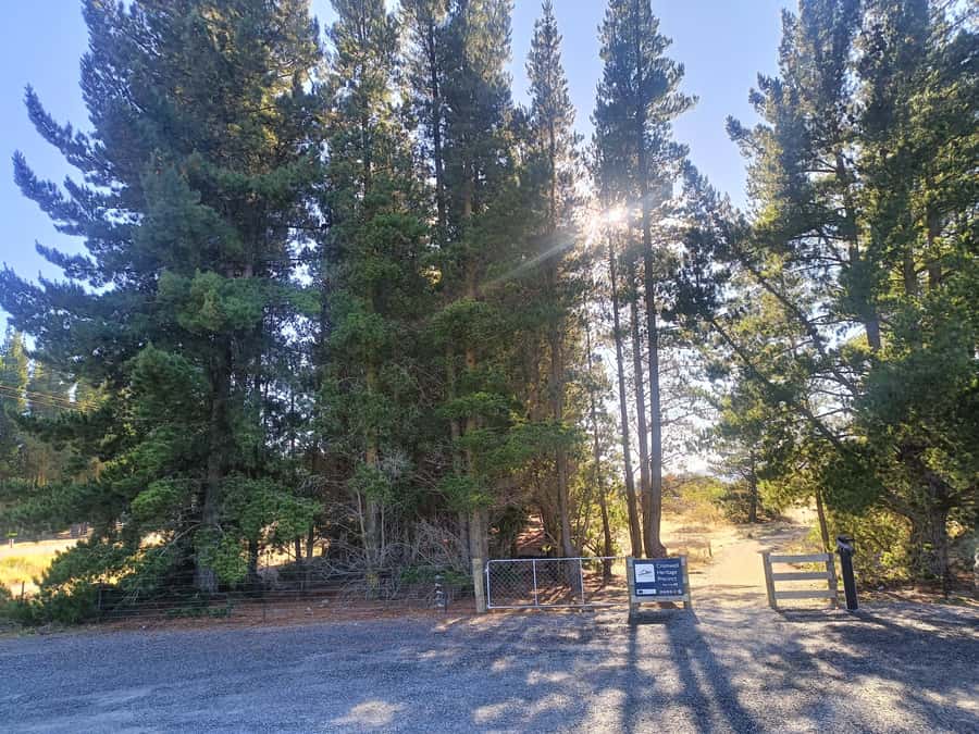 Cromwell: Lake Dunstan Trail Bike Rental and Luxury Shuttle - Should you book the Lake Dunstan Trail ride?