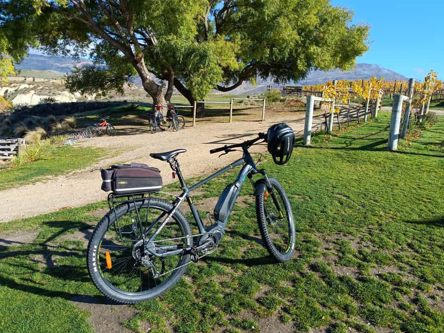 Cromwell: Lake Dunstan Trail Bike Rental and Luxury Shuttle - Riding the clip-ons and Hugo suspension bridge