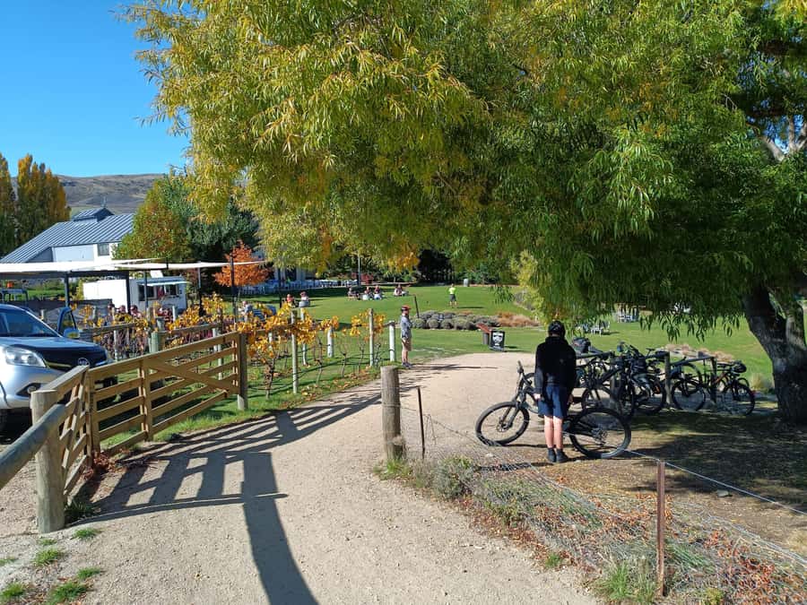 Cromwell: Lake Dunstan Trail Bike Rental and Luxury Shuttle - The Carrick Winery and Burger Afloat breaks