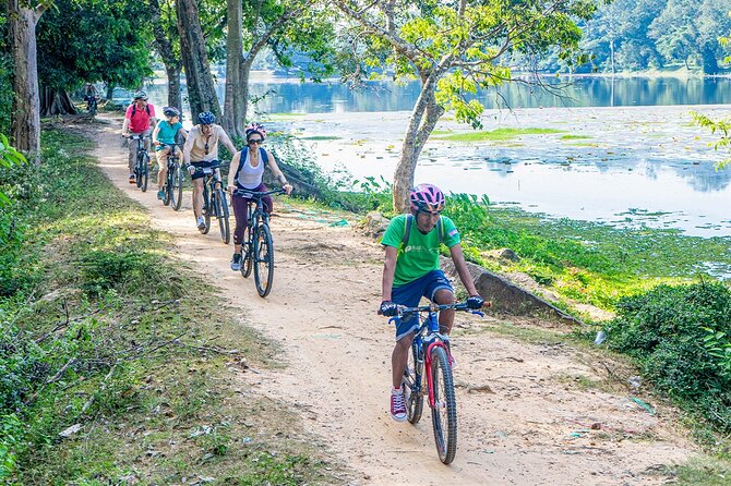 Cycle the Angkor Backroads with lunch / E-Bike or Tuk Tuk - Bayon and the gates of Angkor Thom