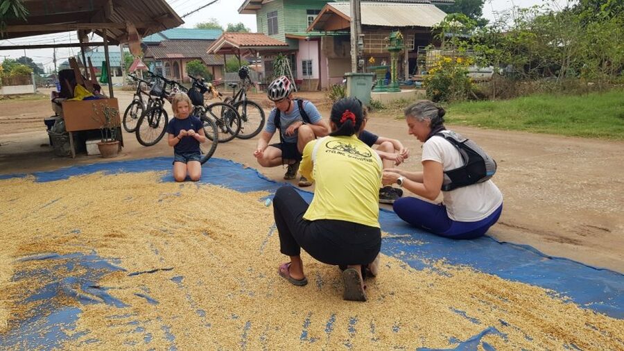 Cycling Sukhothai Full Day Countryside Tour - Market, school, and photo stops