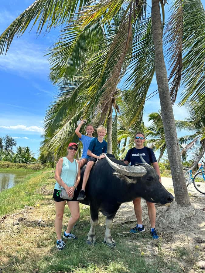 Da Nang or Hoi An: Countryside Bike & Basket Boat Tour - Cycling from Hoi An into rice-country Vietnam